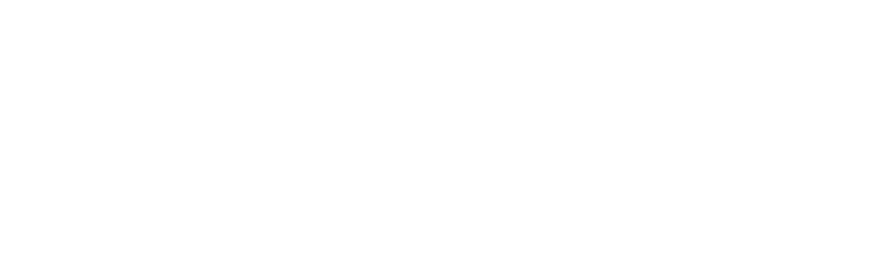 TSE Flow